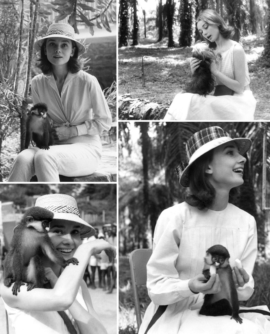 Audrey-Hepburn-51