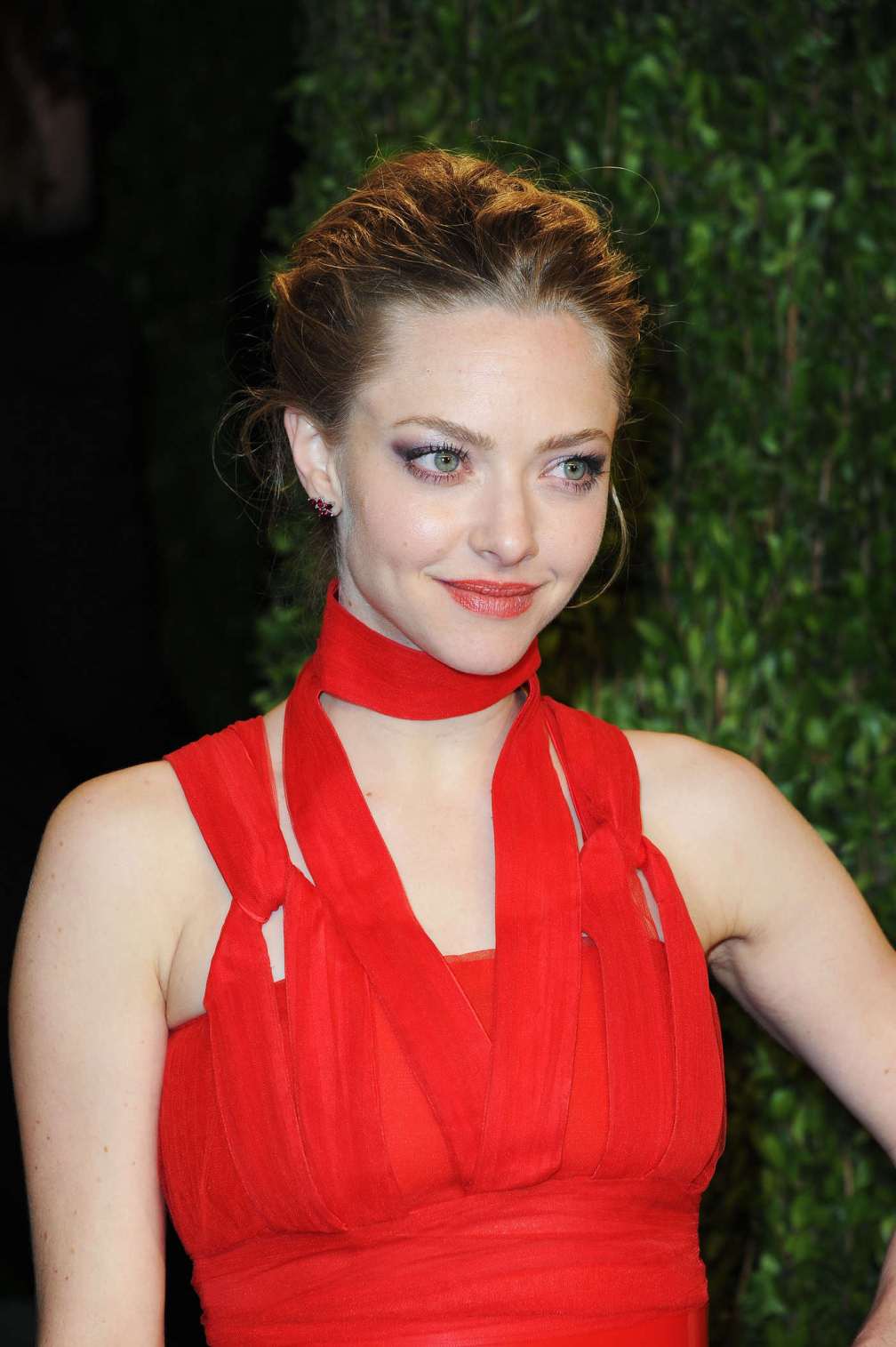 beautiful-dress-Amanda-Seyfried-2