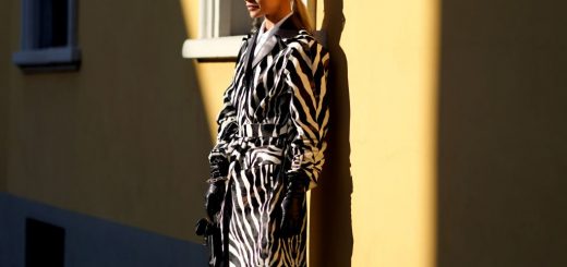 Экзотическая зебра. Инструкция по ее применению.