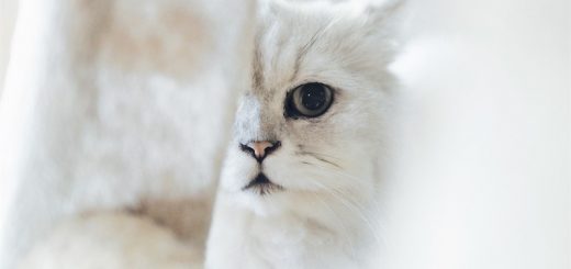 Суеверия, связанные с модой и красотой