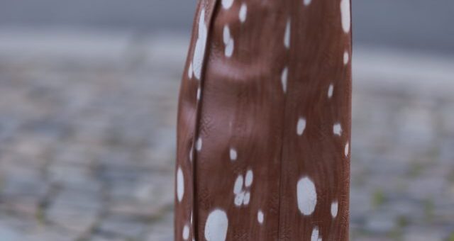 В тренде принт «Бэмби»