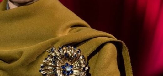 Броши — в центре внимания